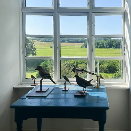 Rural House In With Nature And Culture *